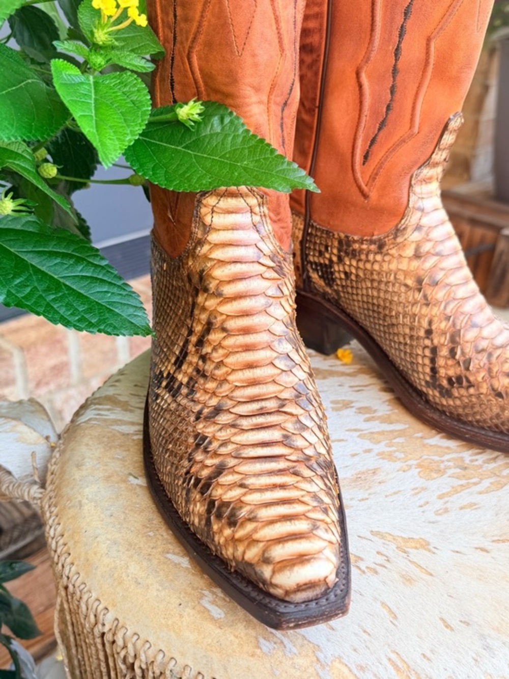 RARE Lucchese Python Snakeskin Brown Leather Pull On Snip Toe Cowboy Boots 8 - Picture 2 of 15